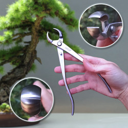 Zefiru | Vaciadora de corte esférico para Bonsáis 210 mm Inoxidables